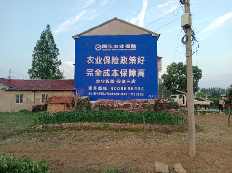 宣恩墙体广告为何受追捧？