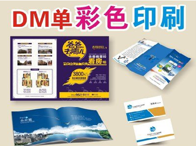 宣恩单页印刷，色彩搭配简单。